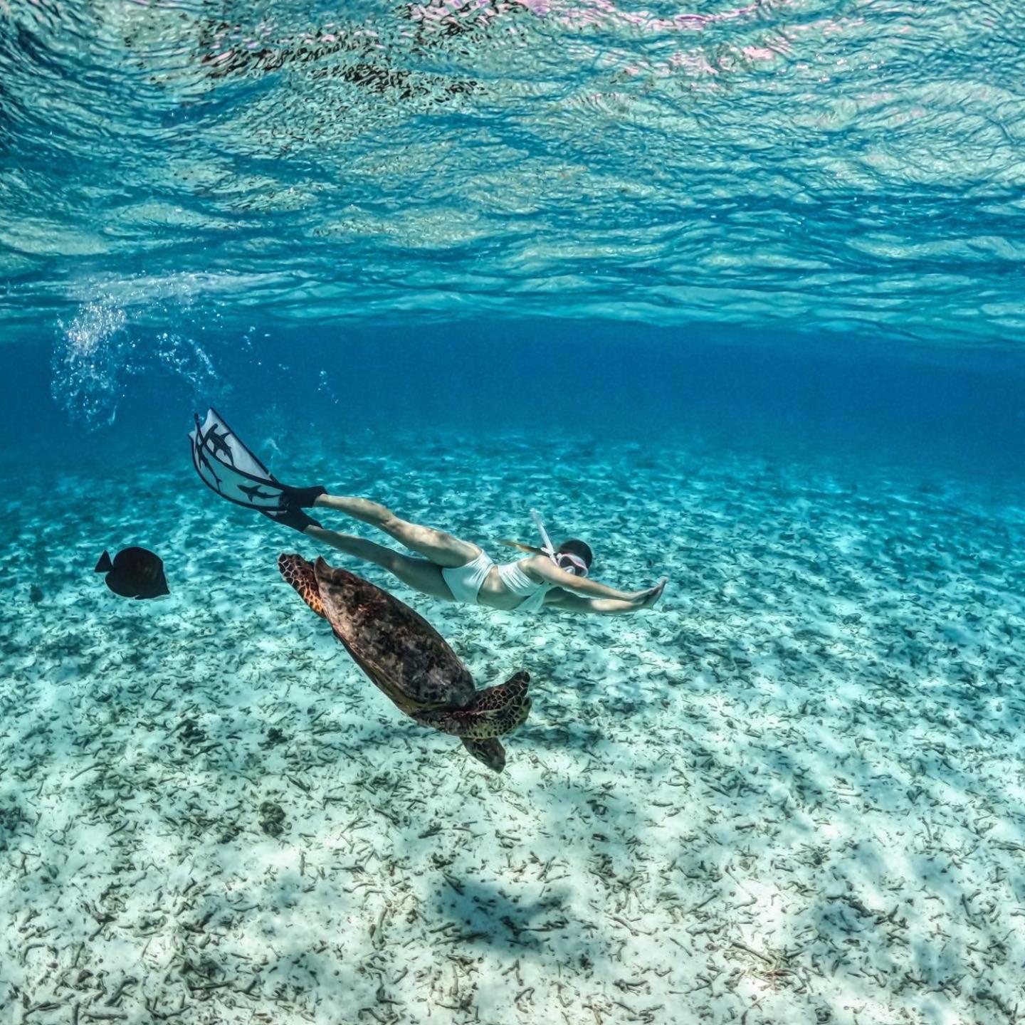 Blue Water Thoddoo Inn Luaran gambar